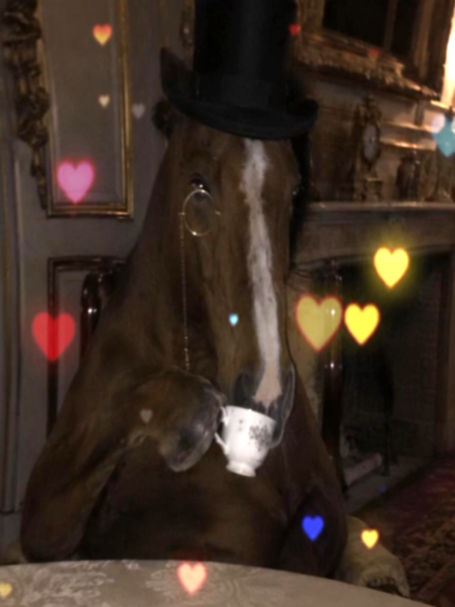 @ʕ˶ᵔ ﻌ ᵔ˶ʔ ♡ ⋆。˚