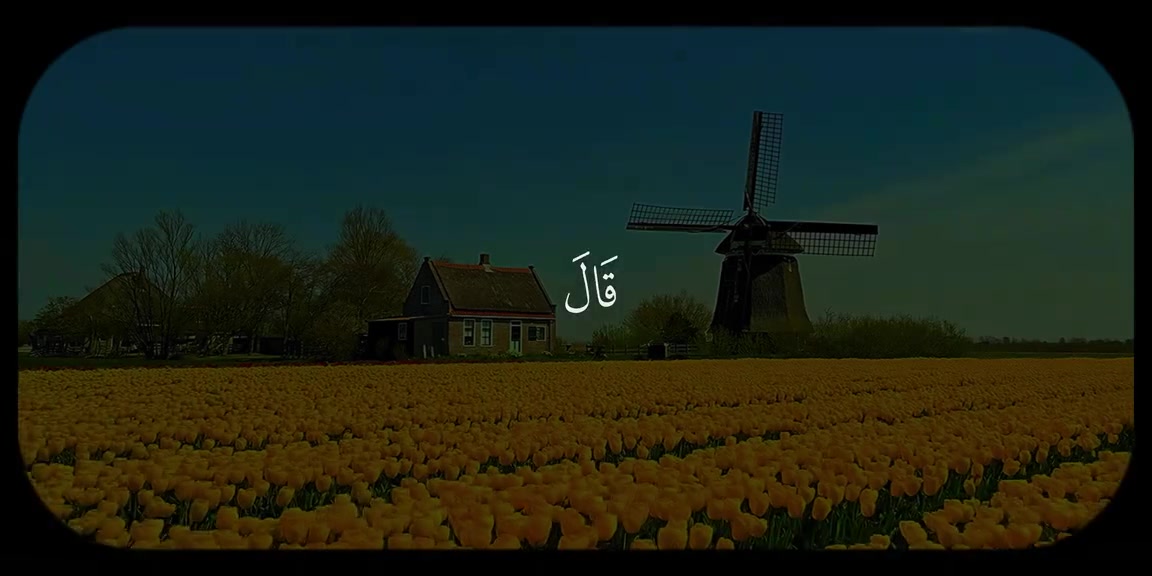 @bok/بوك