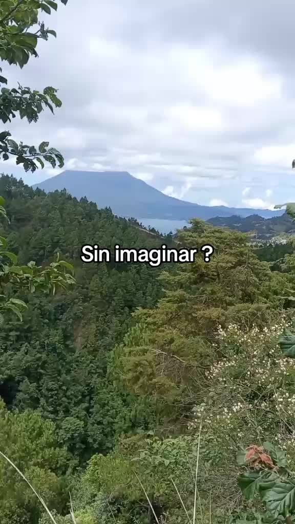 @liza