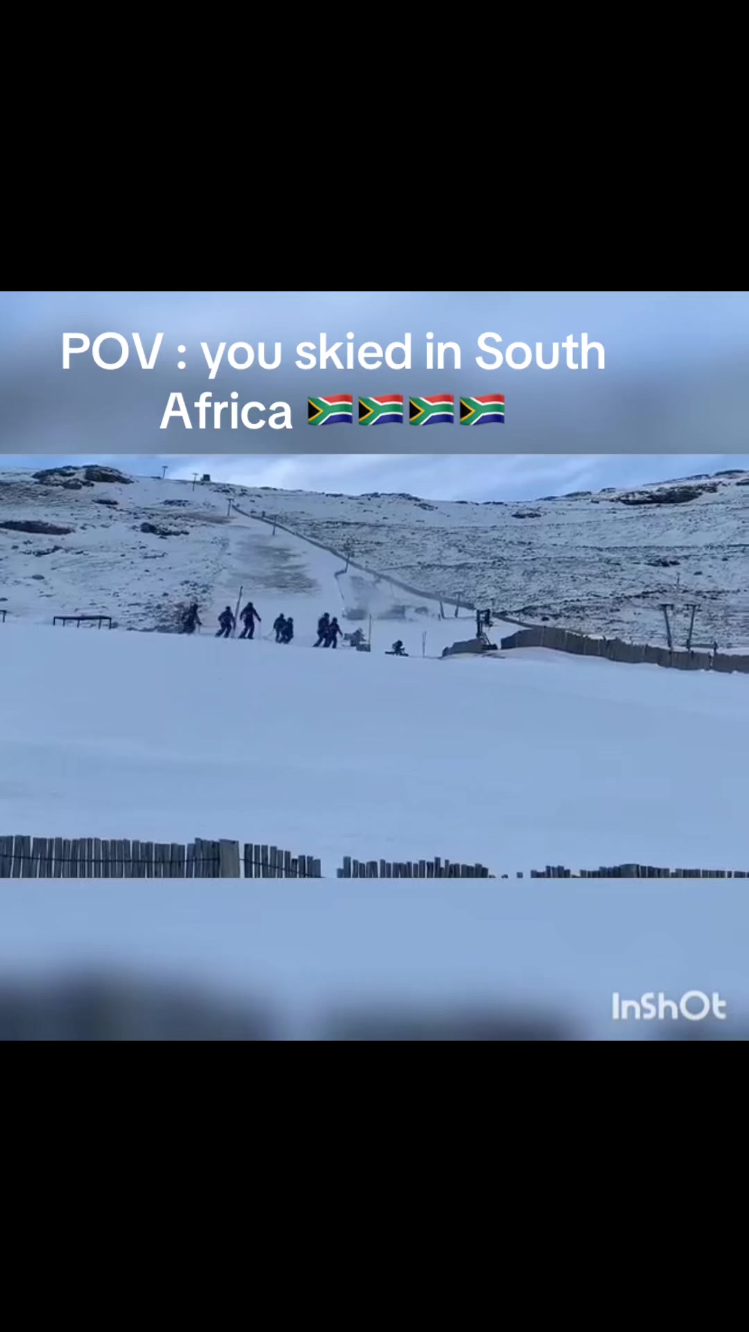 @ZANDIE SA🇿🇦