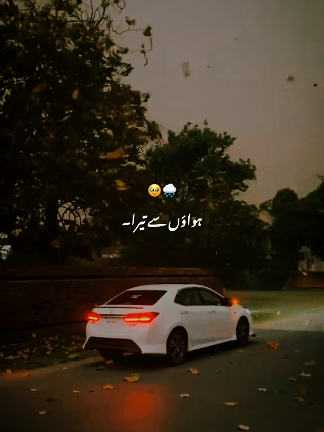 @⍥⃝🦋𝘼𝙌𝙀𝙀𝙇🤝𝐐𝐚𝐬𝐢𝐦&reg;&trade;🧸