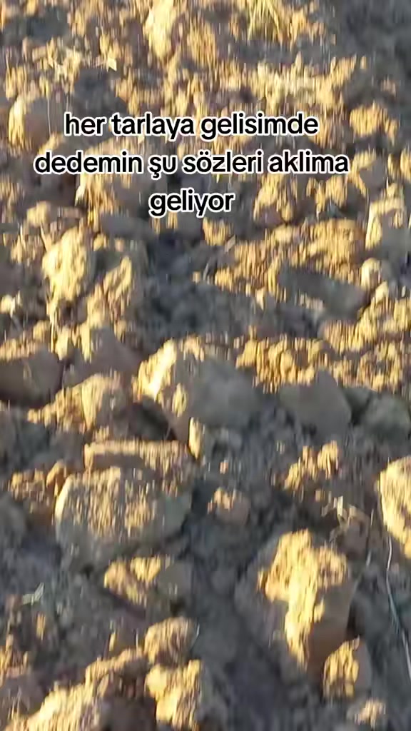 @1osman_bey588