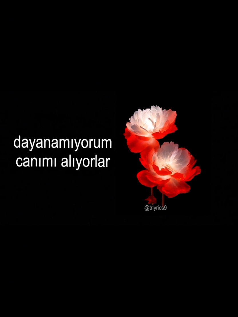 @𝙏𝙍>𝙡𝙮𝙧𝙞𝙘𝙨