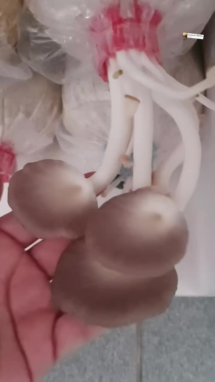 @kwanny24