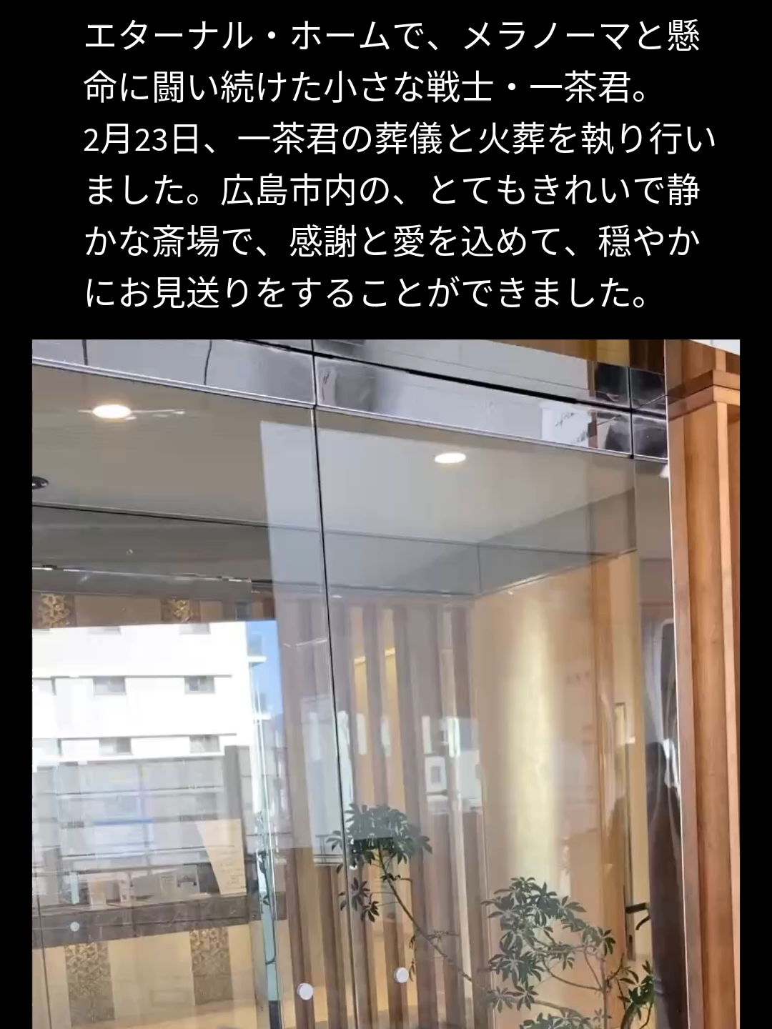 @NPO法人エターナル・ホーム