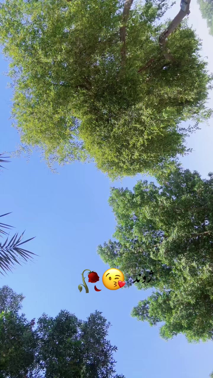 @♦️Bhãÿâ 🫵