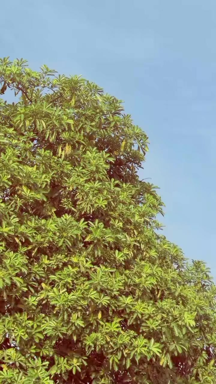 @ANSARI🥰😘😘😘❤️❤️
