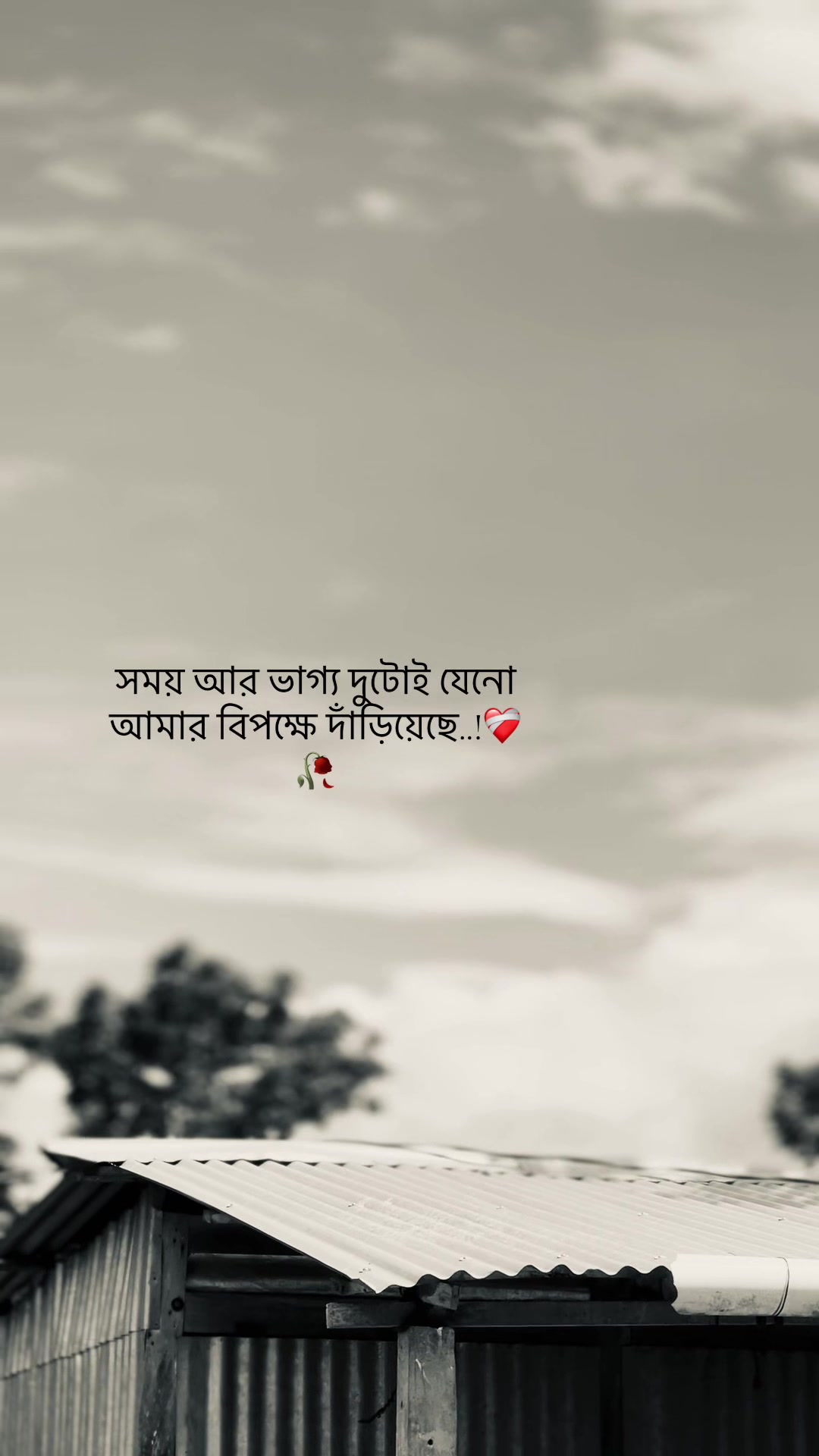 @đŗī¸A Z I M đĢ