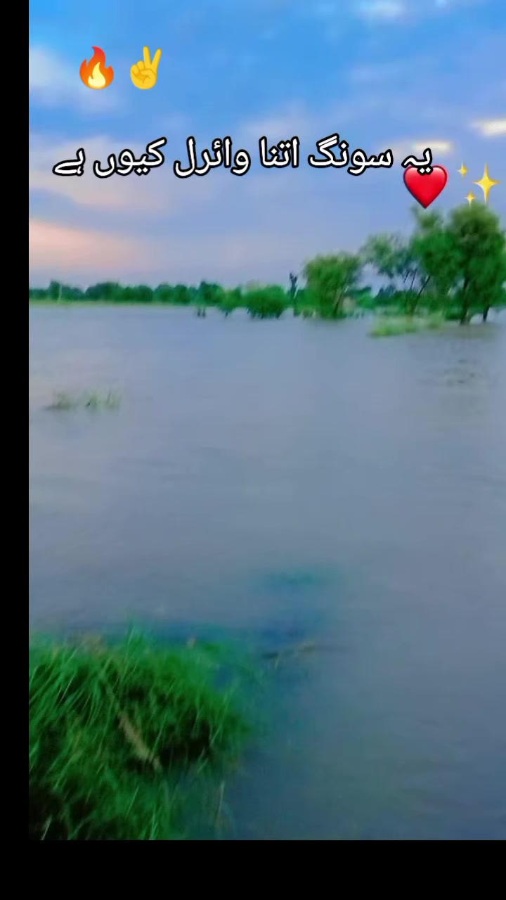 @ALi ⚜️🚩