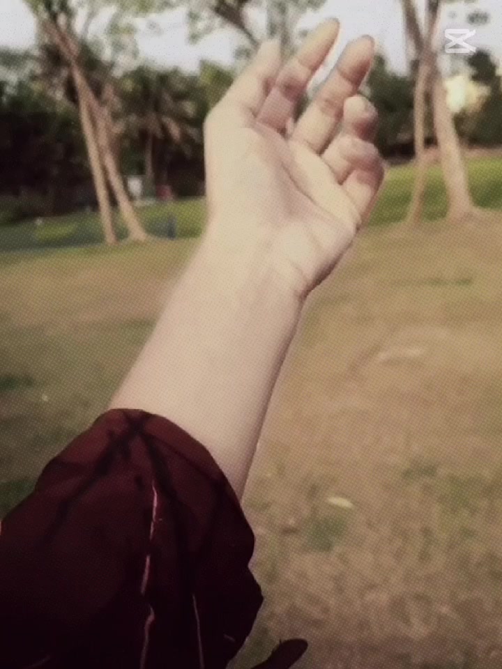 @🍁Pravisht _এর_বউ🍁