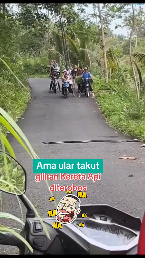@TEH MPUT❤