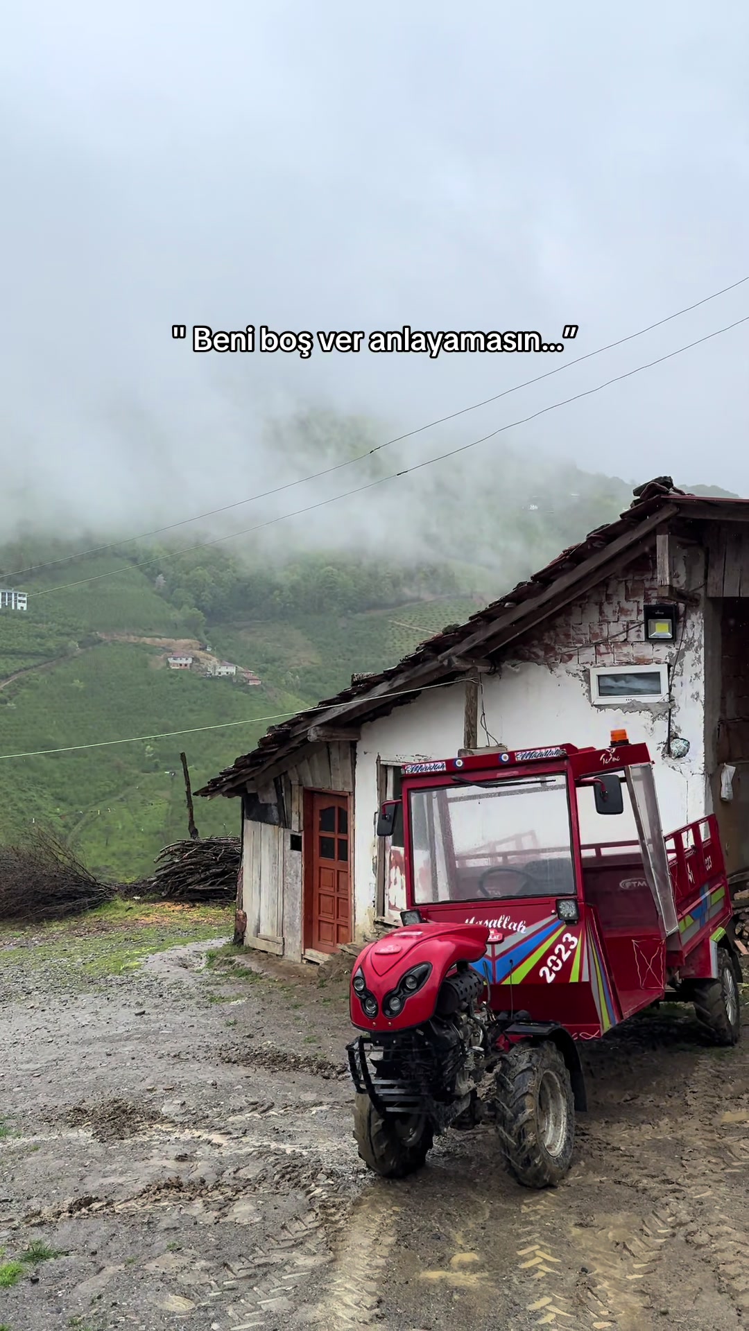 @Bolat seven birliği