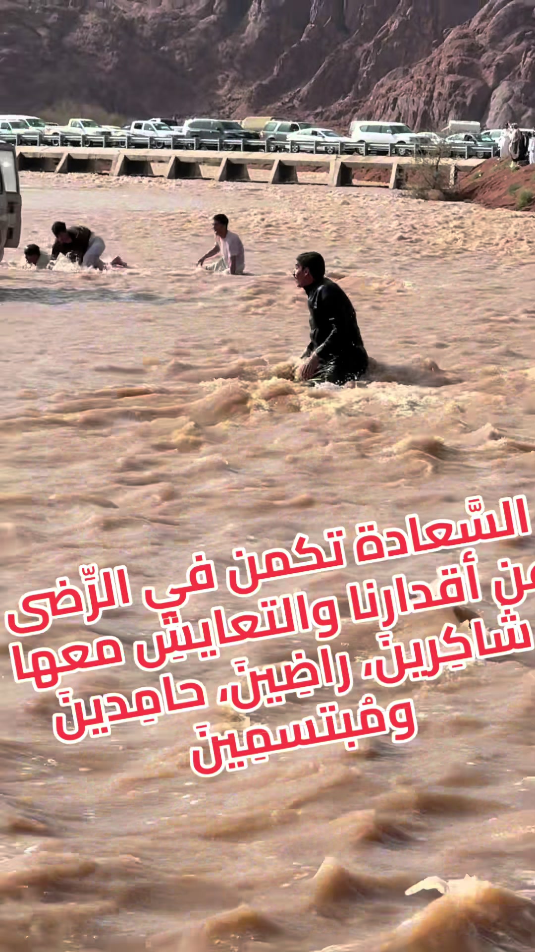 @كُاسه شاهيہ🫖