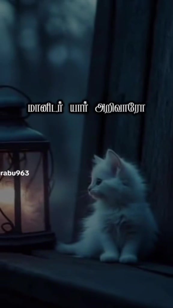 @💫💥பூனைக்குட்டி💥💫