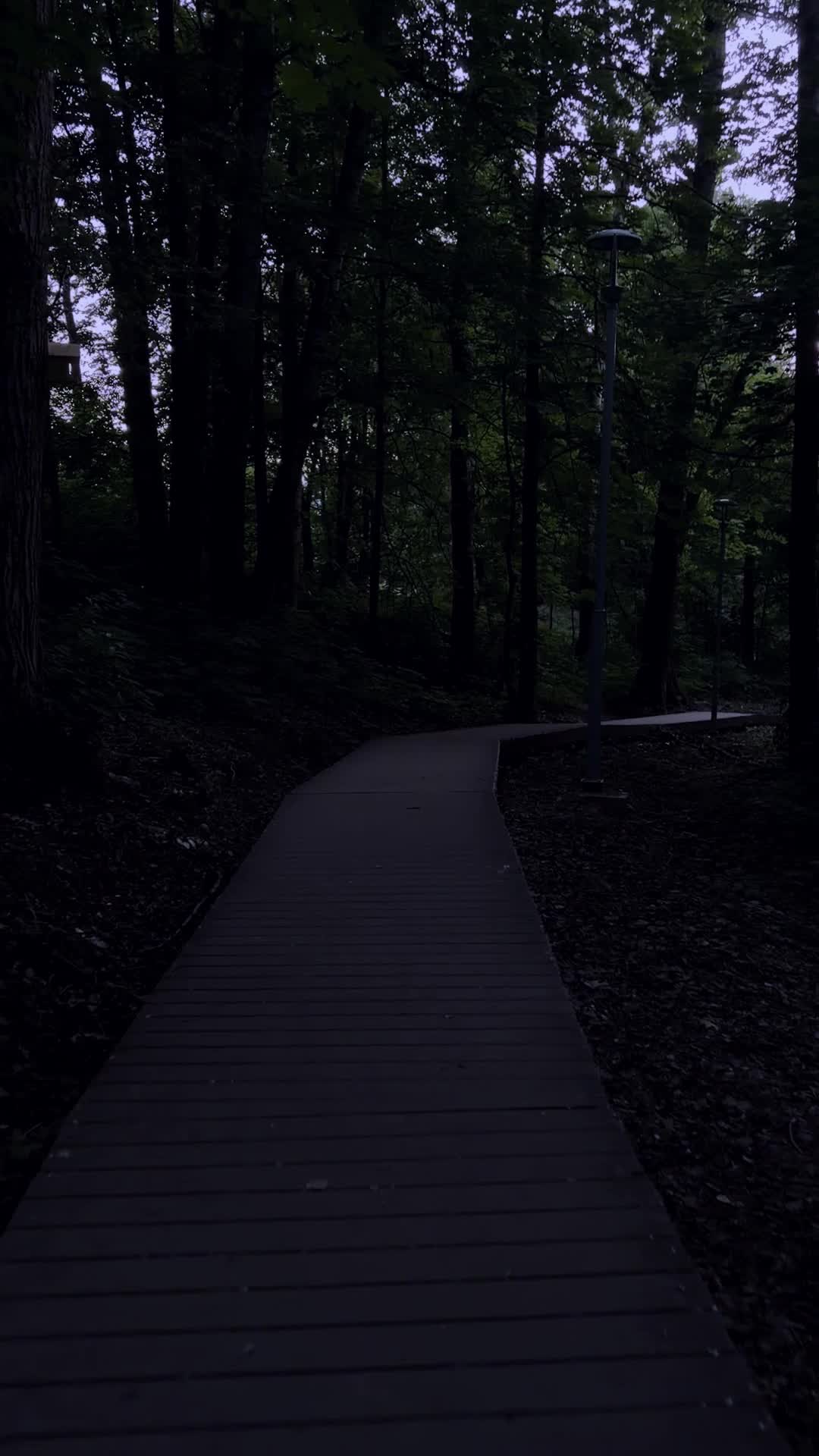 @ˑ