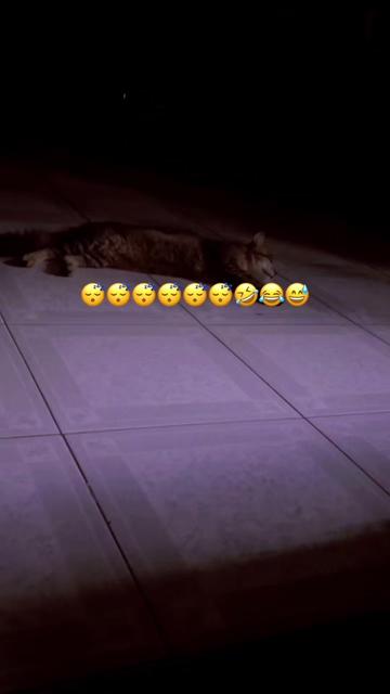 @nilufayeasmin945
