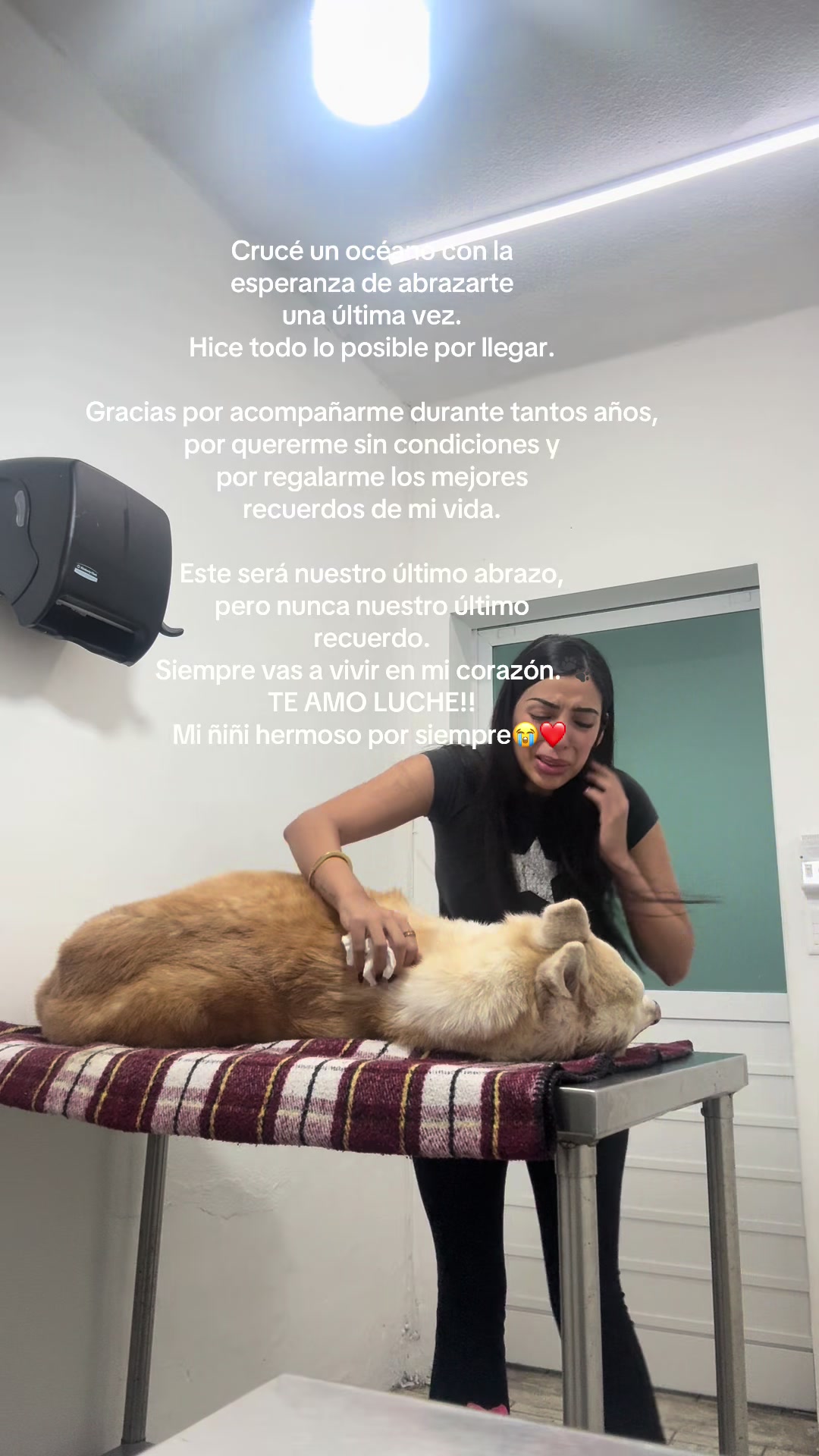 @Celeste