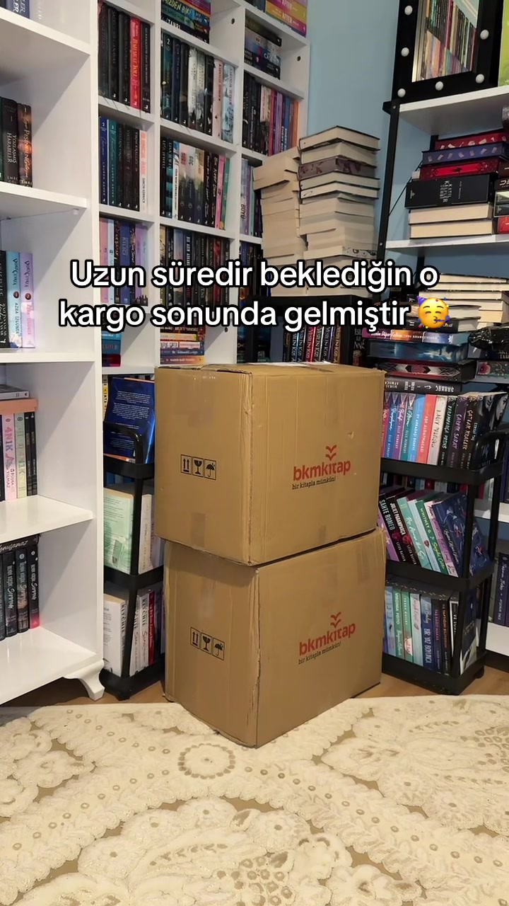 @laviniaabookss