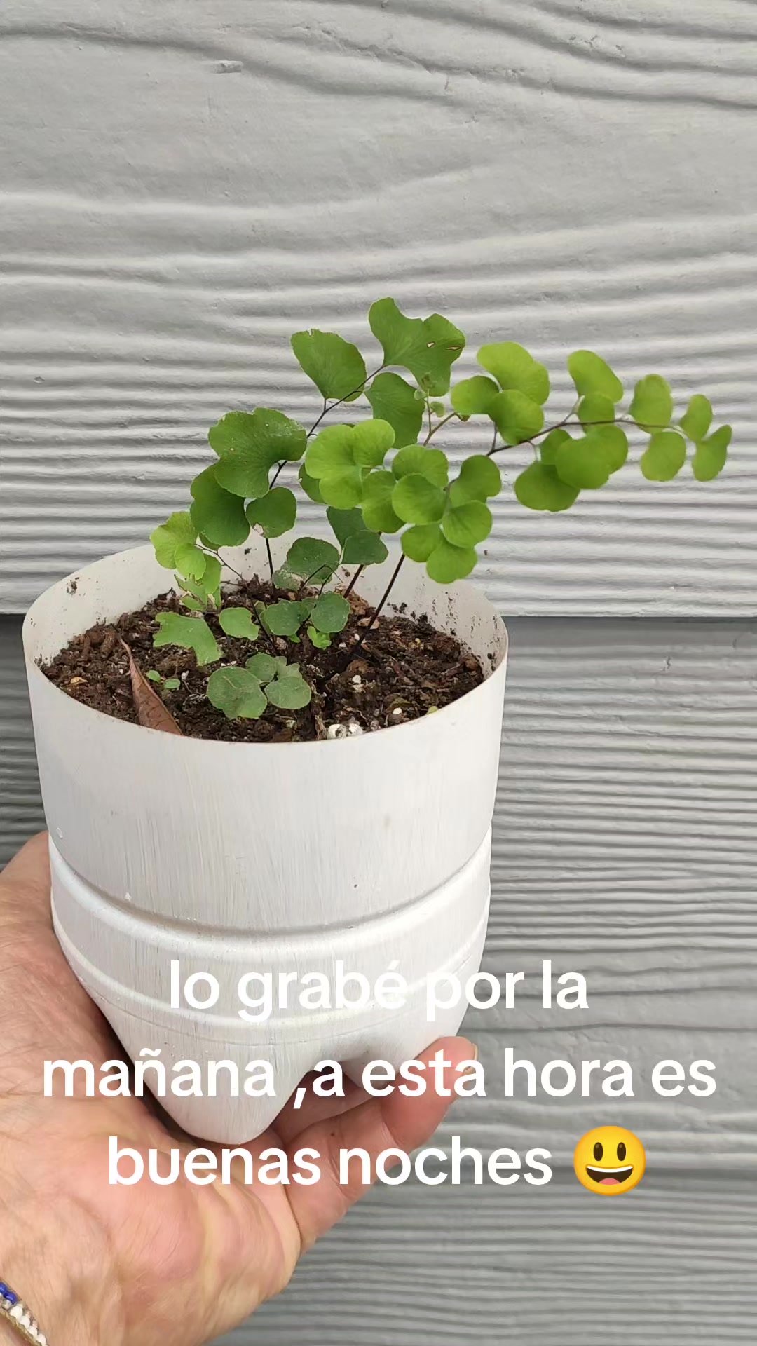 @Jardinesdelarca2 y crochet