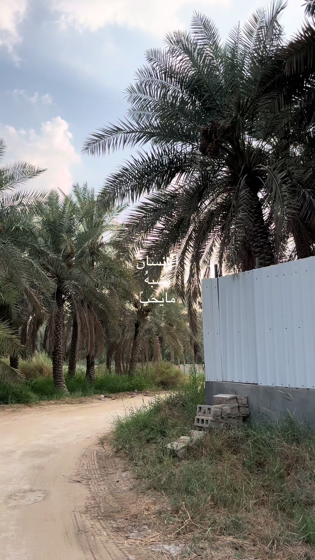 @shams.alahsa
