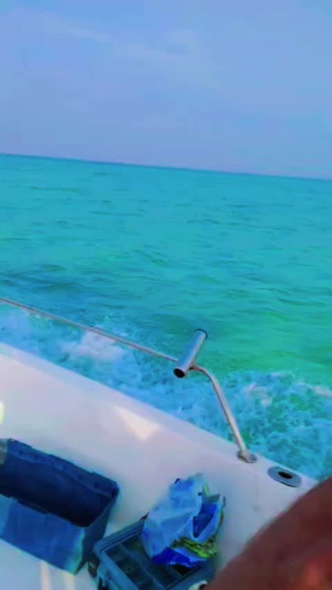 @wahedkhan9696