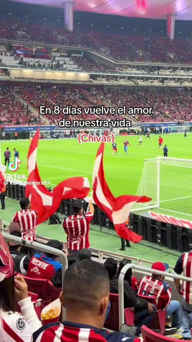 @Lulú Ortiz
