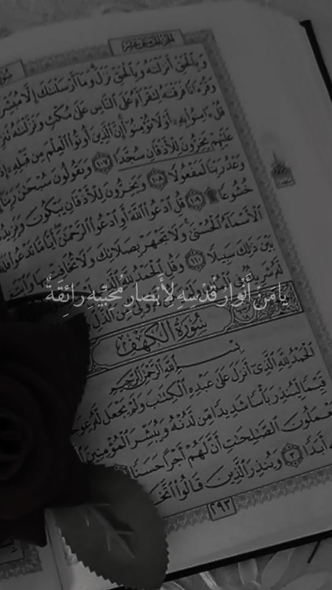 @قائد الغُرِّ المُحَجَّلين