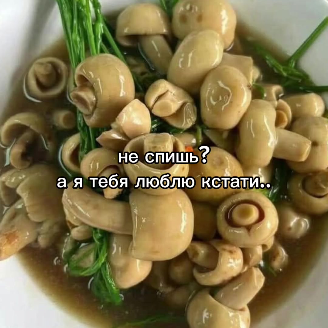 @|АМЕЛИЯ|