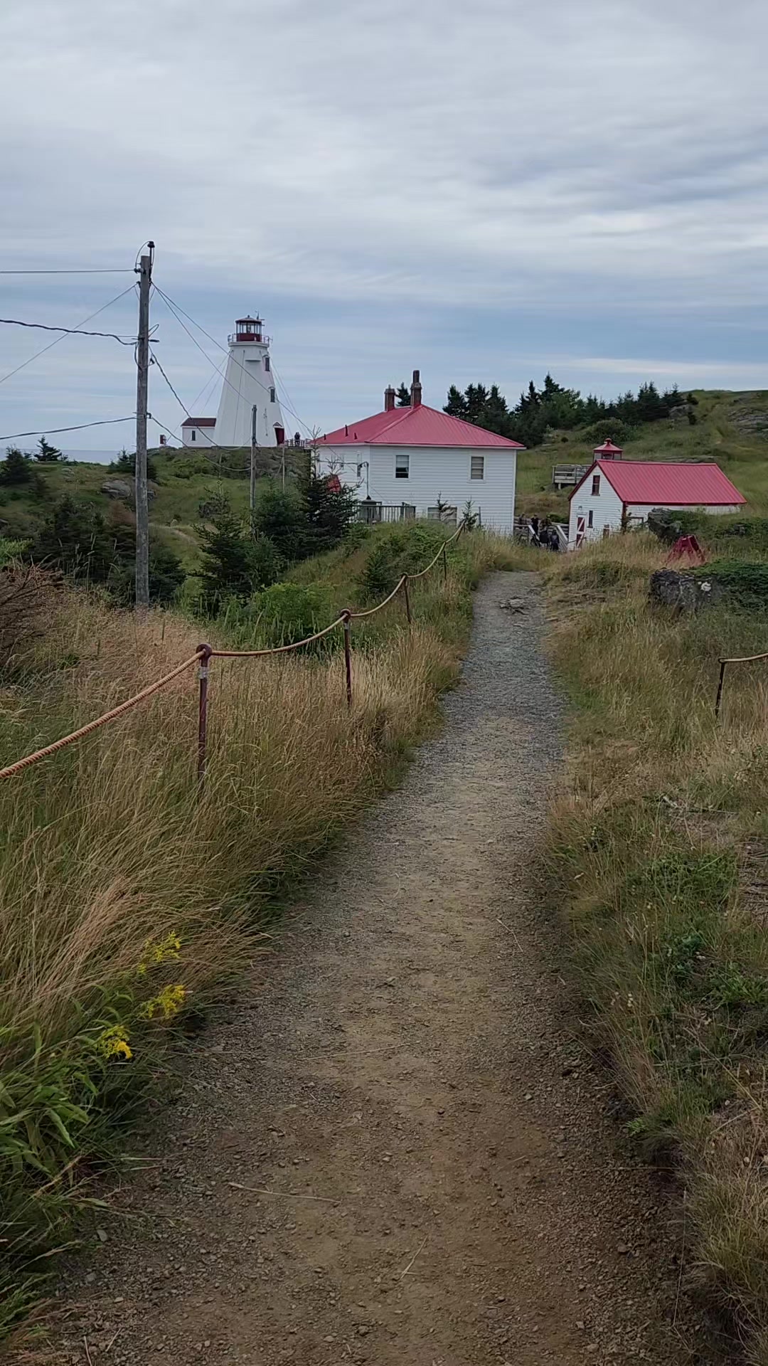 @Jenn L 🇨🇦