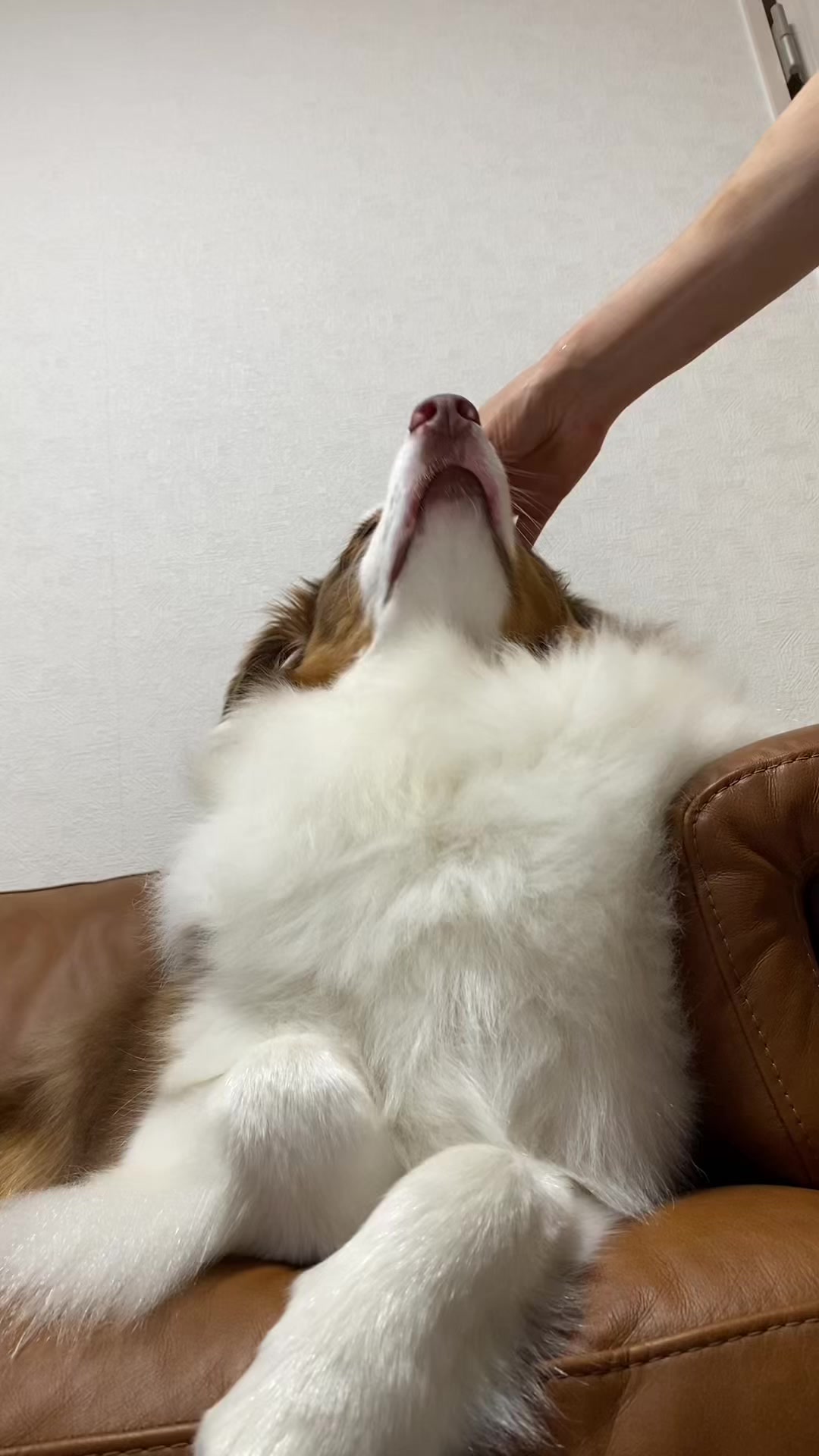 @サン&タマ