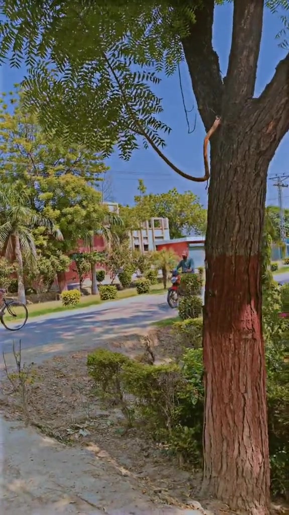 @𝐹𝒶𝒾𝓏𝒶𝓃 𝒞𝒽