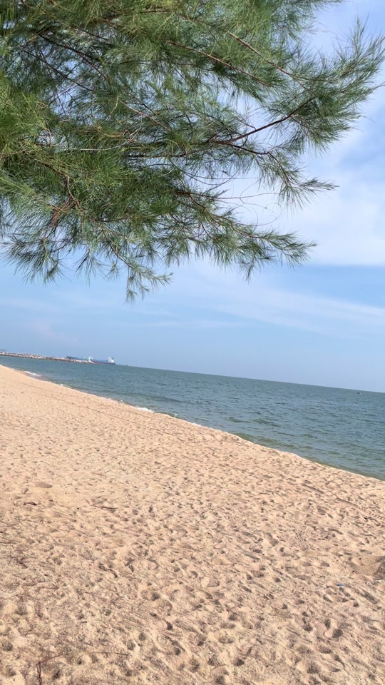 @anong pum 🌱ปุ๋ม