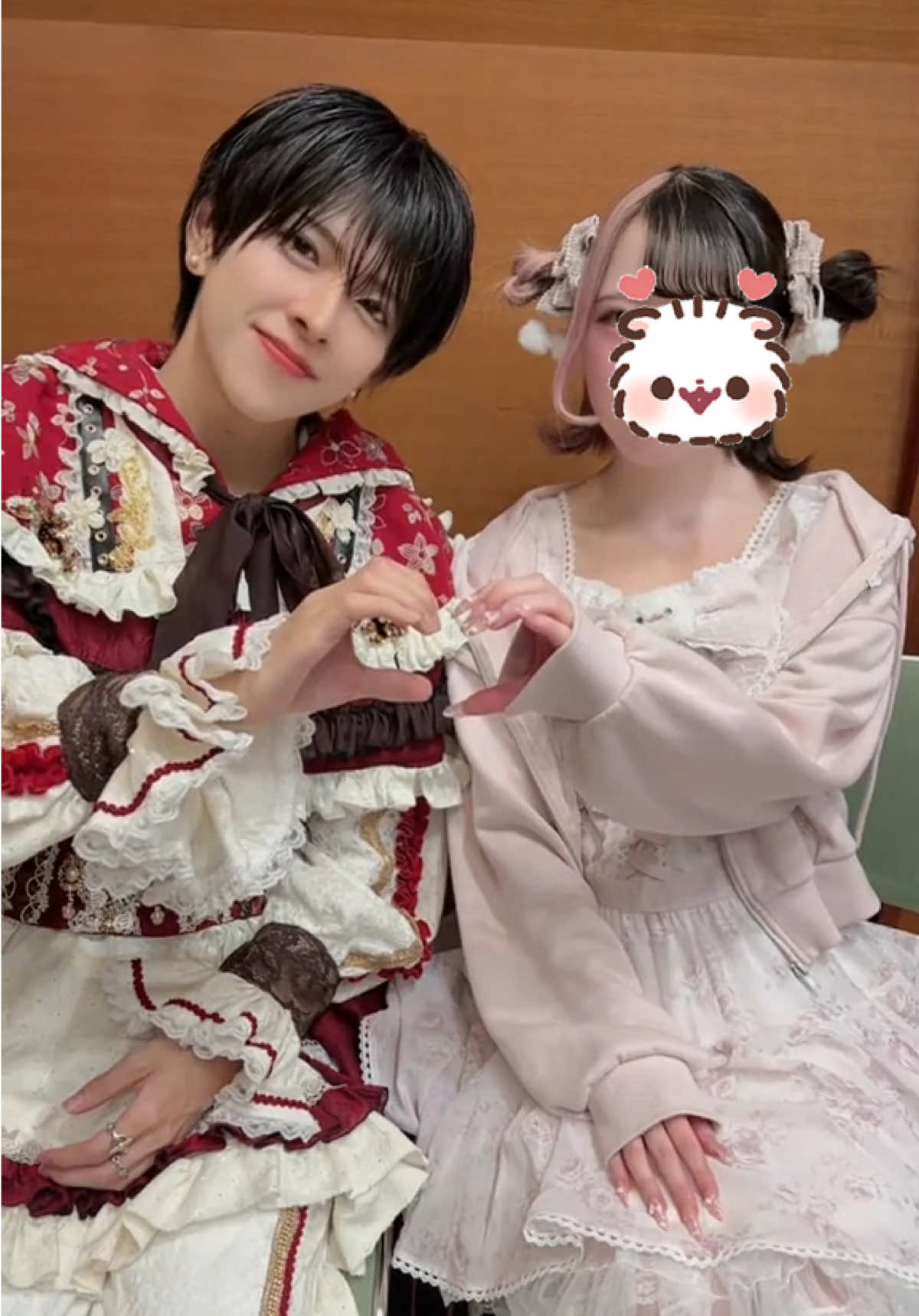 @🐰🌸⸝꙳.˖