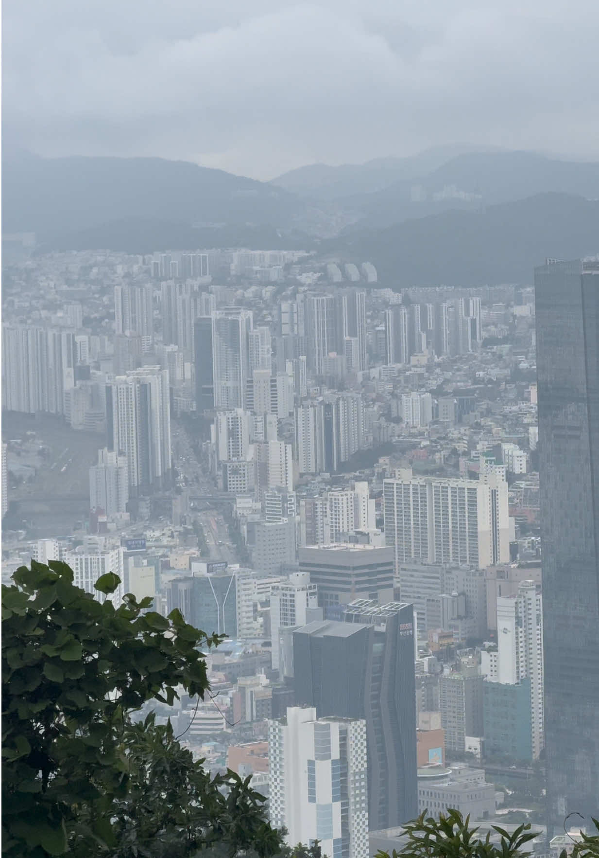@𝘿𝙧𝙚𝙖𝙢𝙆𝙞𝙡𝙡𝙚𝙧🇰🇷
