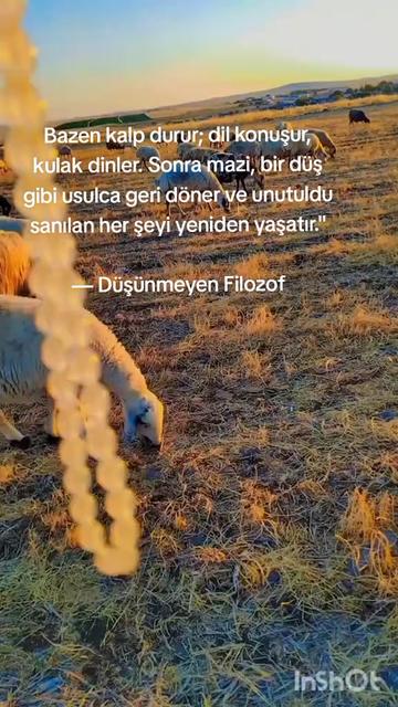 @Düşünmeyen filozof