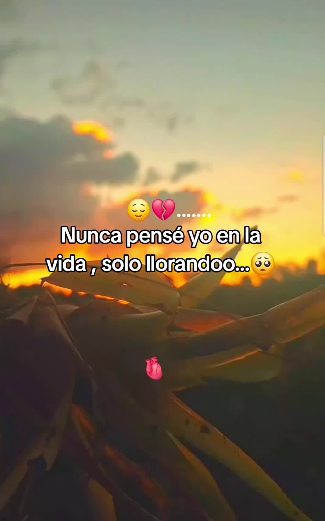 @❤️🔥Hugo🧃💗