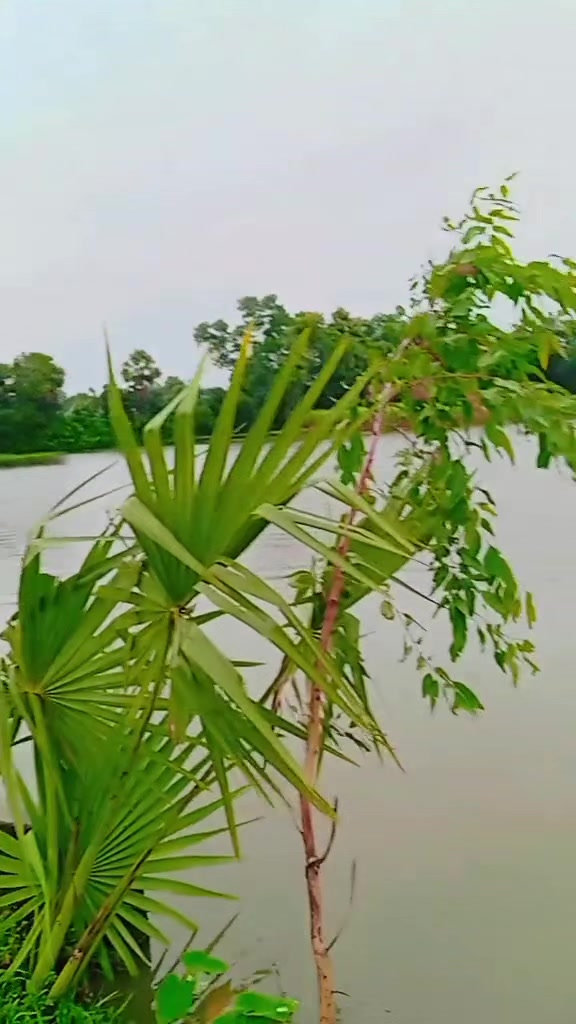 @đŋ āĻĒā§āϰāĻā§āϤāĻŋāϰ āϏāĻžāĻĨā§ āĻāĻžāϞā§āĻŦāĻžāϏāĻž