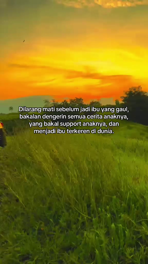 @Prav | Mitanya Floryn🥦
