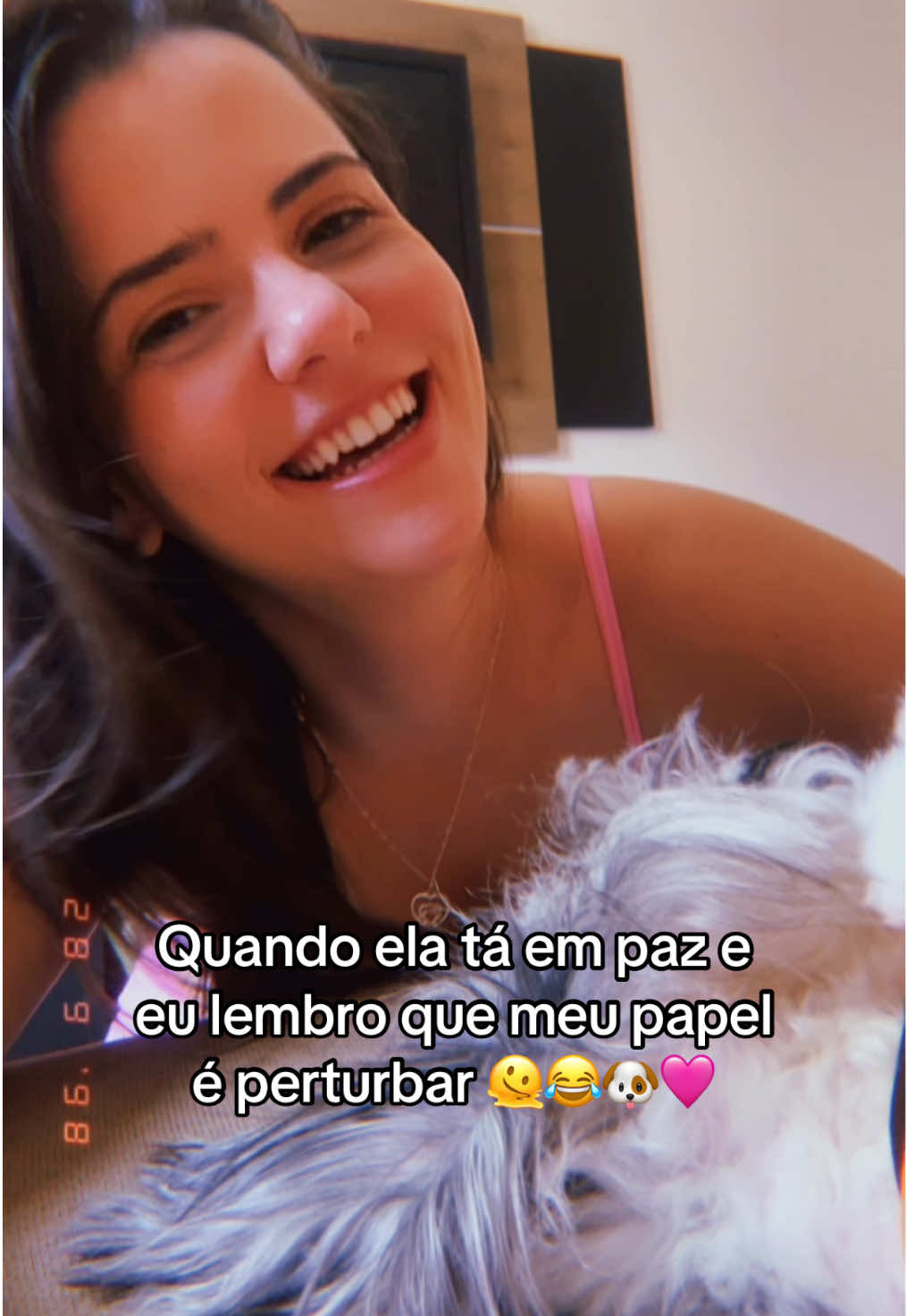 @diariodapri_25