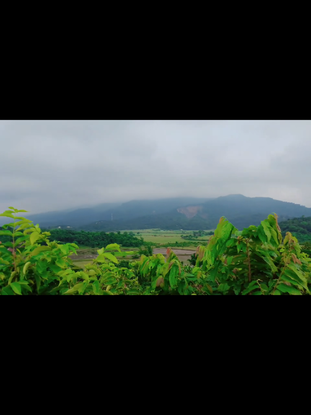 @đŽđšđ˛đĢshimulbagan_1đĢđˇđŽđš