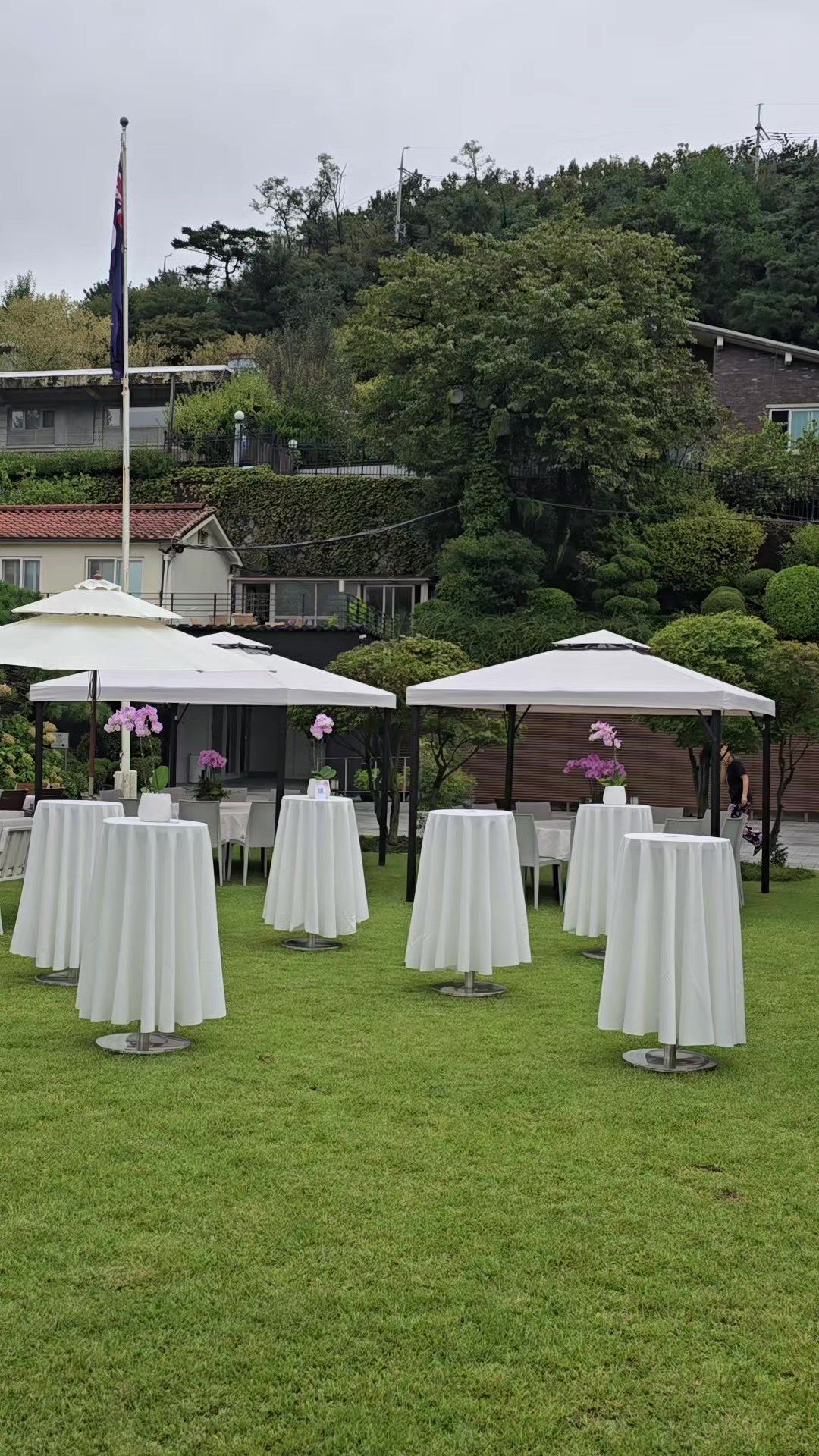 @Marilyn Amaran Tapec