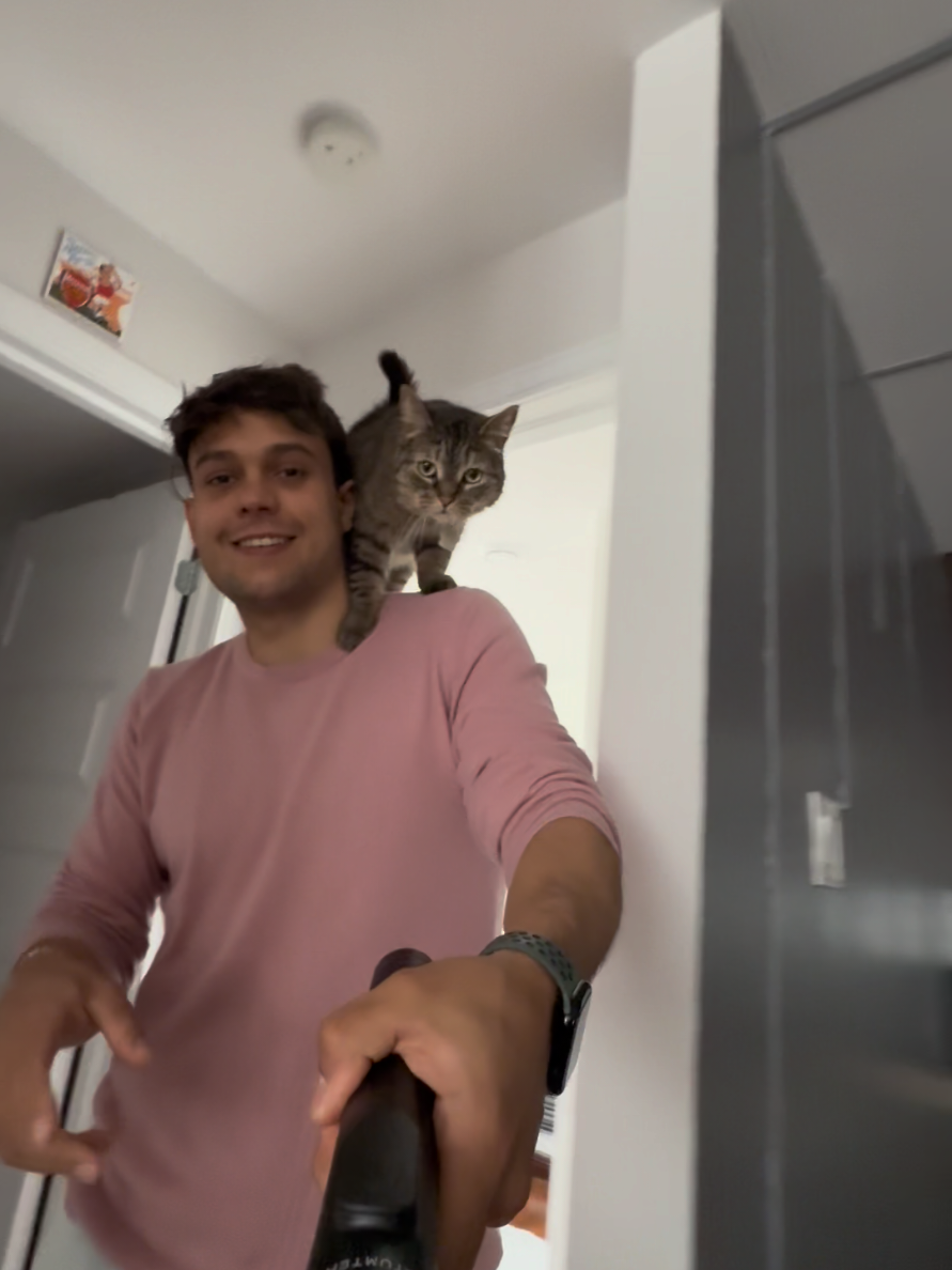 @Bellarda the cat