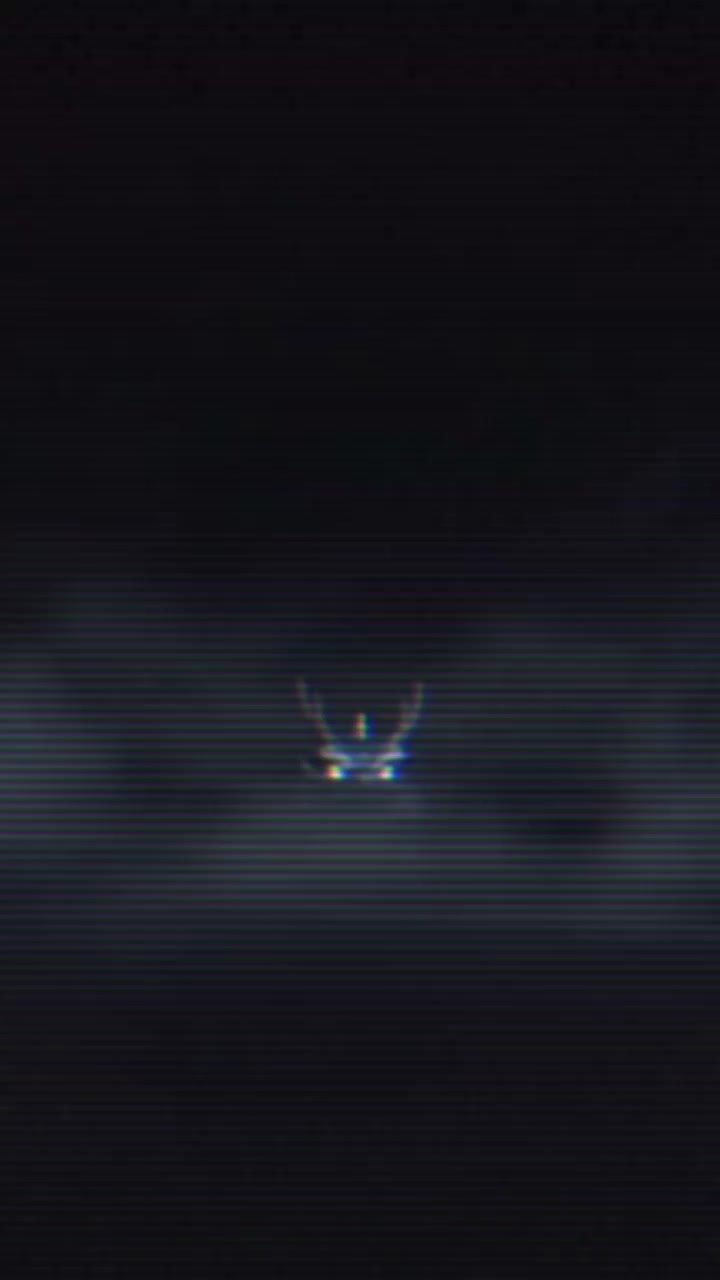 @DWTG 🇸 🇭 🇮 🇱 🇦 🇾 22