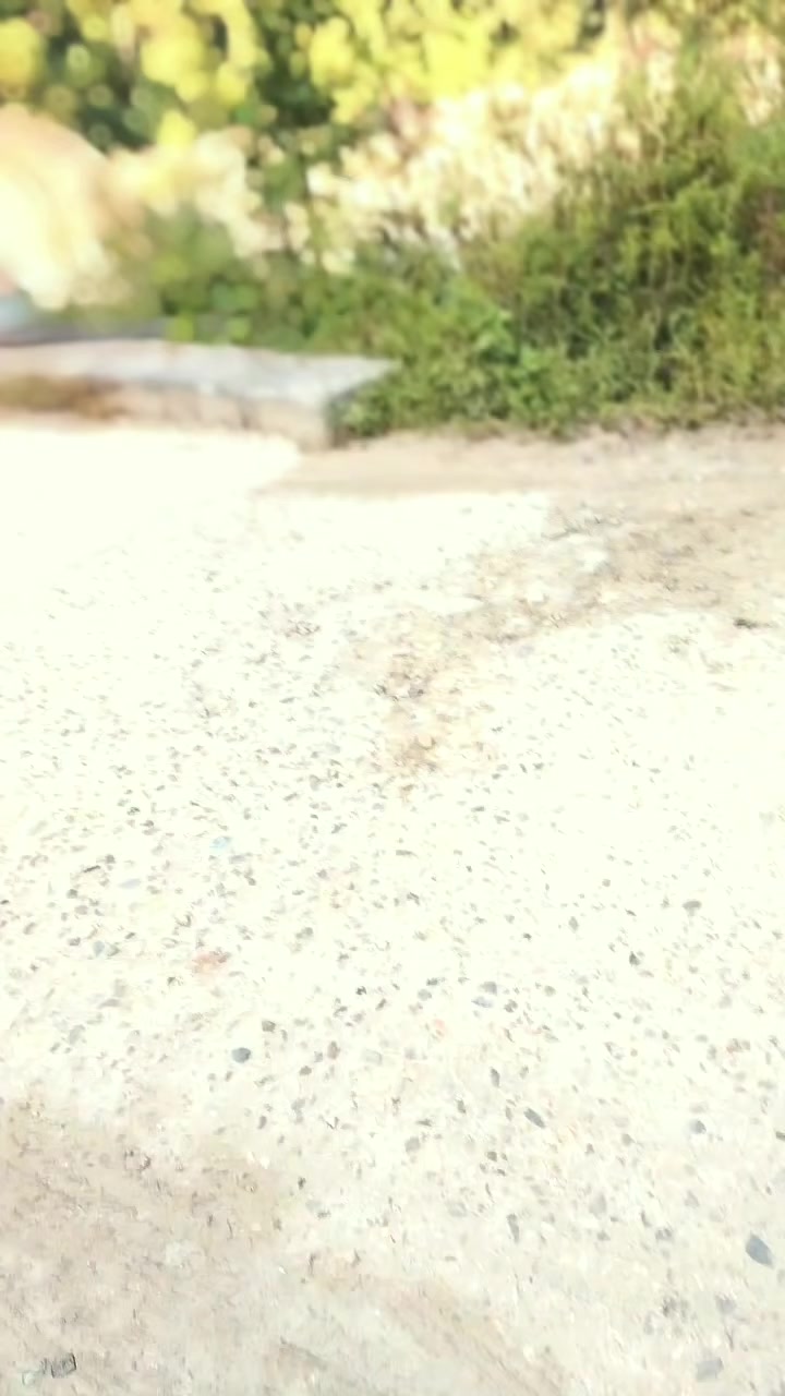@जुम्ली छोरो