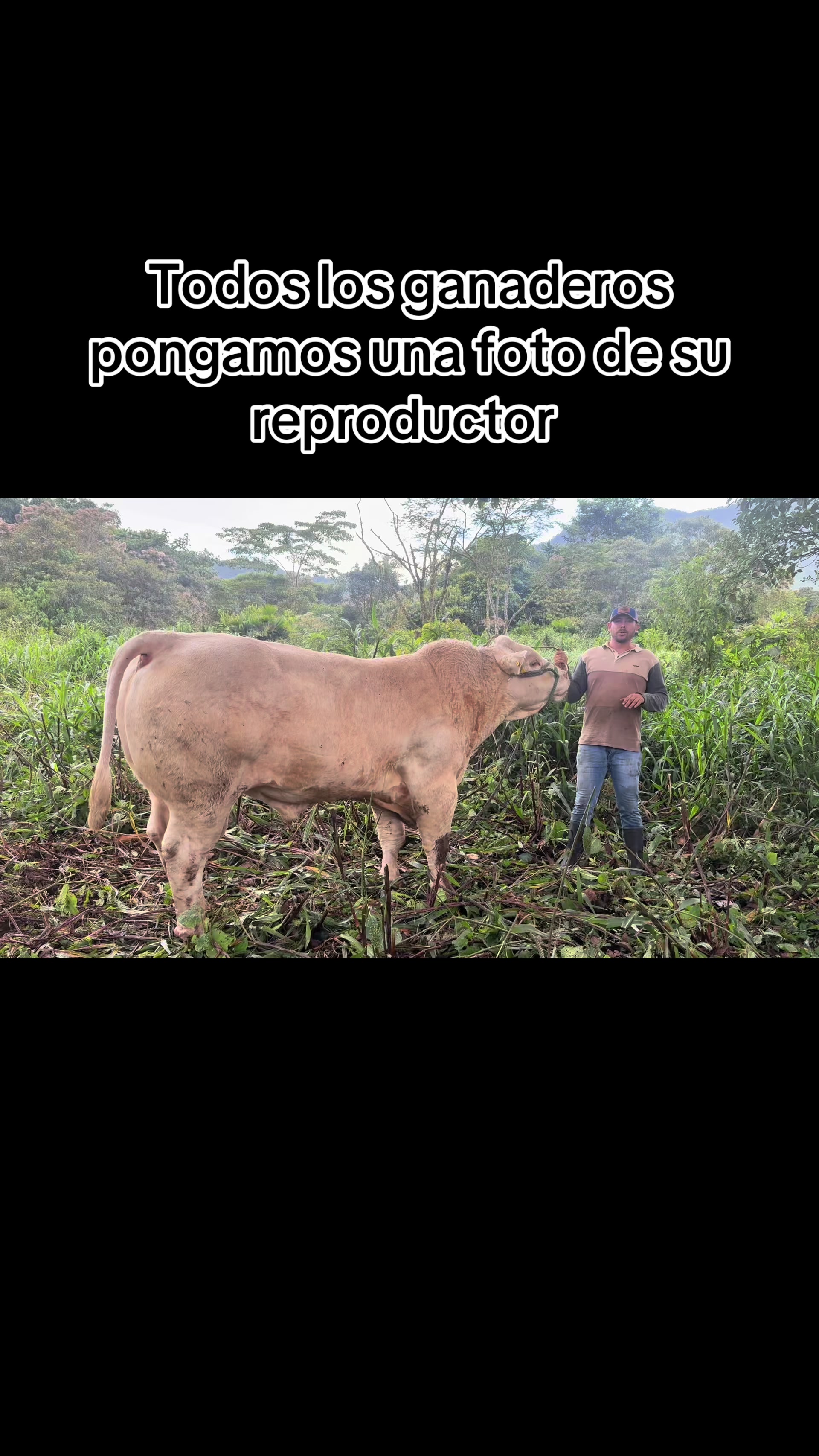 @Hernán Andres