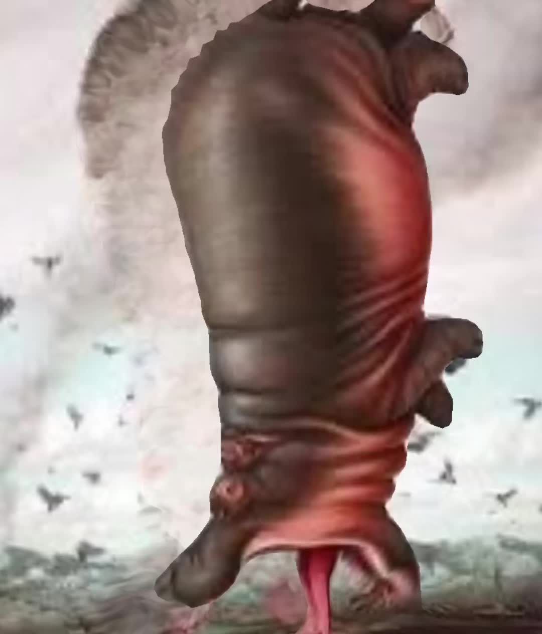 @gluttonouspig