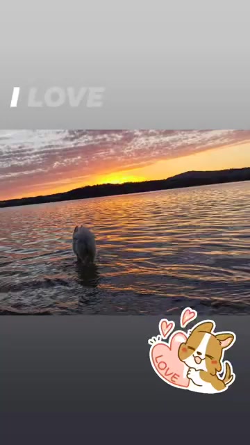 @Polar_ love_ Ice🐾