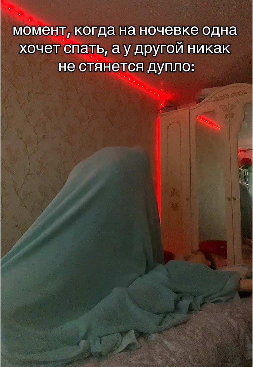 @D.🥷