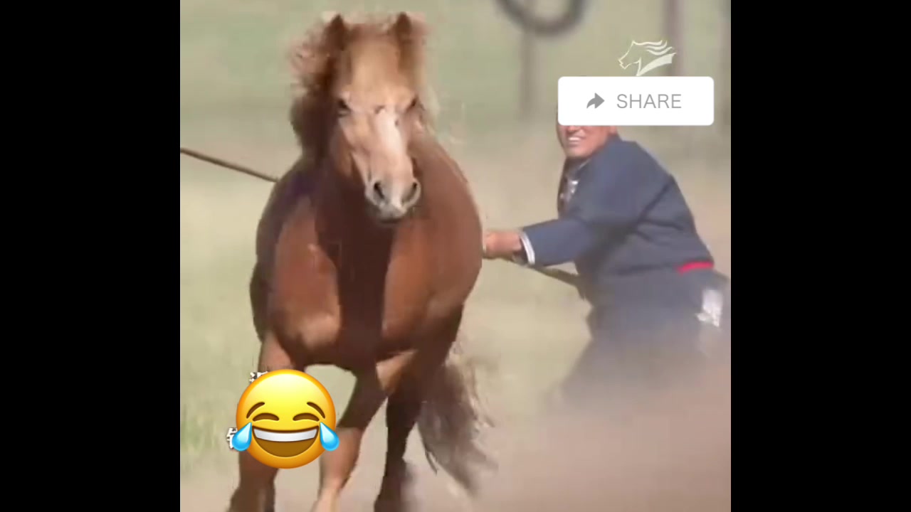 @liujiangyu