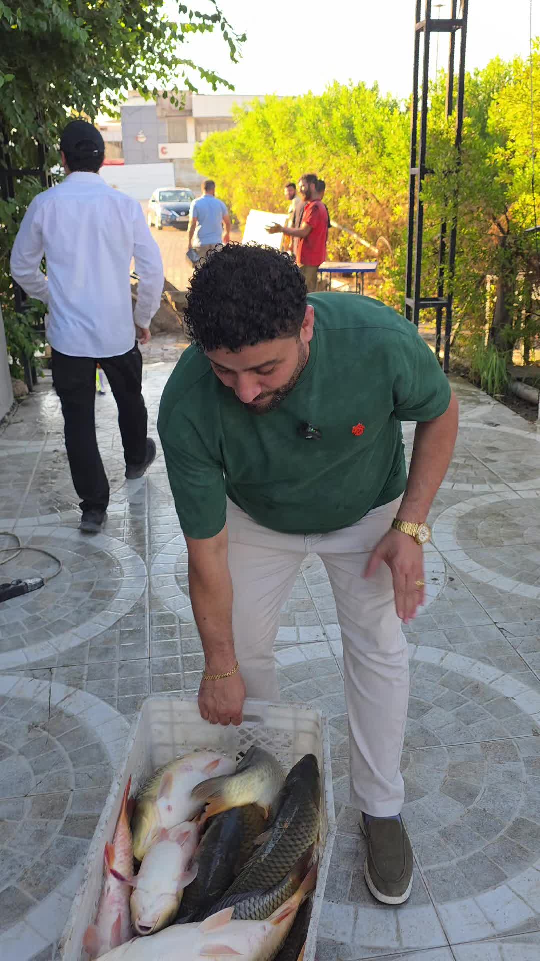 @✌️فاخیرهەریری✌️ریکلام✌️